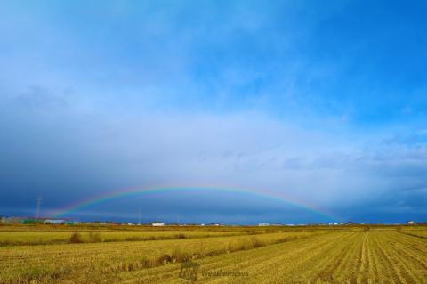 変わりやすい空 虹 注目の空の写真 ウェザーニュース