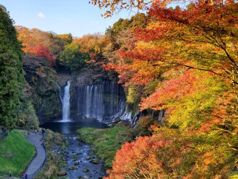 白糸ノ滝の紅葉情報 22 ウェザーニュース