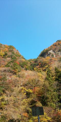 香落渓の紅葉情報 22 ウェザーニュース