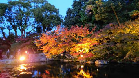 徳川園の紅葉情報 22 ウェザーニュース