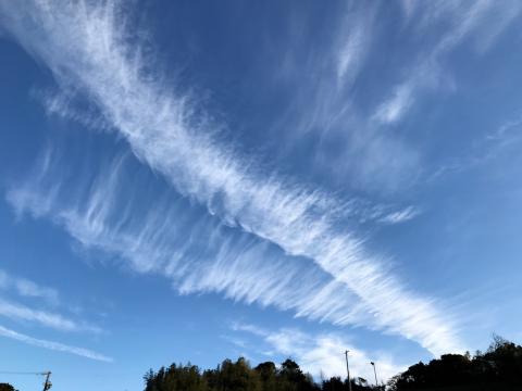 羽のような雲 注目の空の写真 ウェザーニュース
