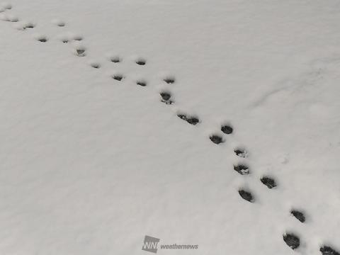 だれの足跡 注目の空の写真 ウェザーニュース