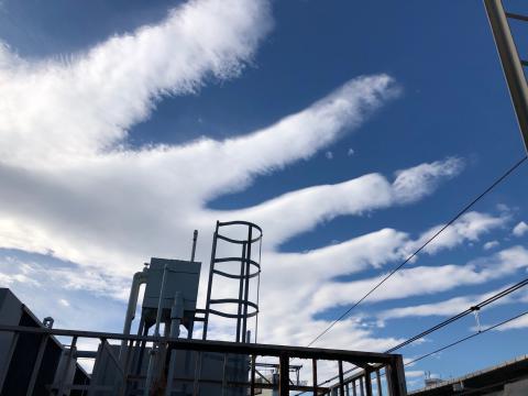 癒しのリポート「すきな雲編」 注目の空の写真 ウェザーニュース