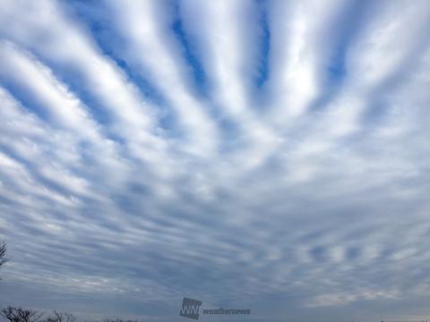 癒しのリポート「すきな雲編」 注目の空の写真 ウェザーニュース