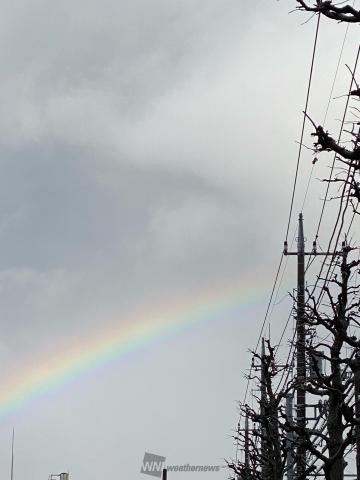 雨上がりの空に虹 注目の空の写真 ウェザーニュース
