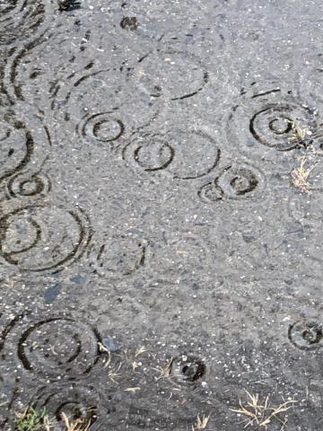 雨の波紋を楽しむ 注目の空の写真 ウェザーニュース