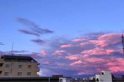 ピンクやオレンジの夕焼け 注目の空の写真 ウェザーニュース