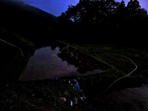 蛍飛び交うモネの水鉢♡直径15センチ - beachculture.co.jp