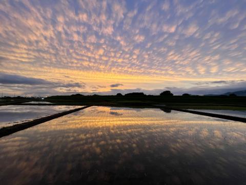 キレイな夕日 夕焼け 注目の空の写真 ウェザーニュース