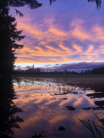 キレイな夕日 夕焼け 注目の空の写真 ウェザーニュース