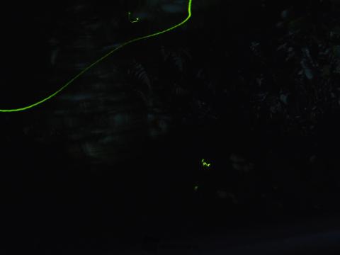 蛍飛び交うモネの水鉢♡直径15センチ - yk-techno.co.jp