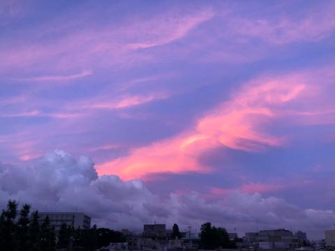 ピンクに染まる夕空 注目の空の写真 ウェザーニュース