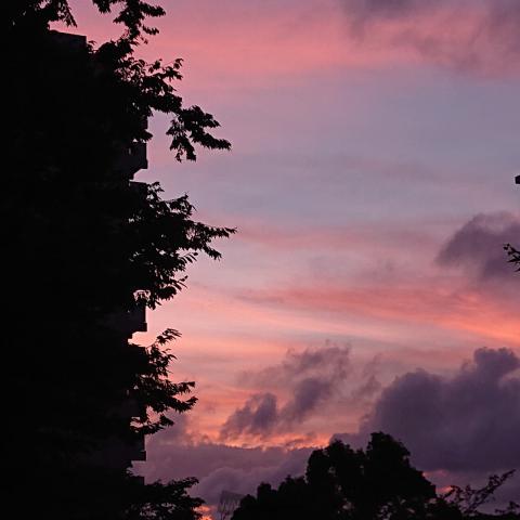 ピンクに染まる夕空 注目の空の写真 ウェザーニュース