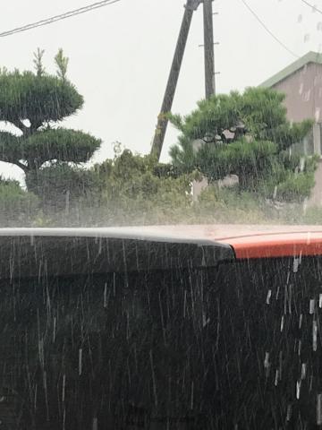 車を激しく叩く雨。