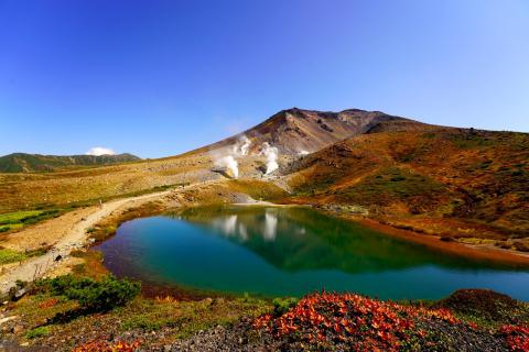 「カムイミンタラの...