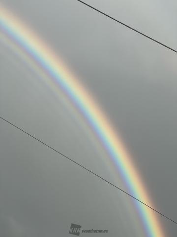 雨上がりの虹！ 注目の空の写真 ウェザーニュース