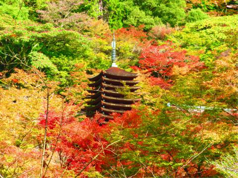 談山神社の紅葉情報 22 ウェザーニュース