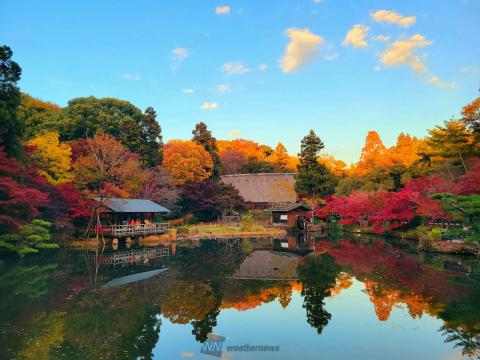 東山動植物園の紅葉情報 22 ウェザーニュース