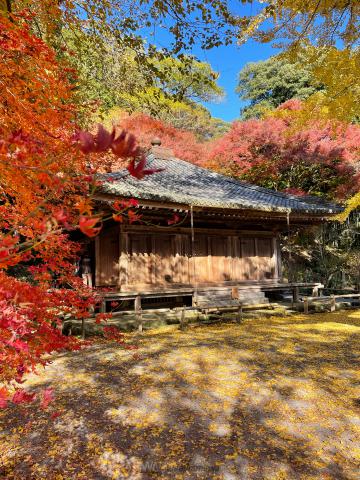 富貴寺の紅葉情報 22 ウェザーニュース