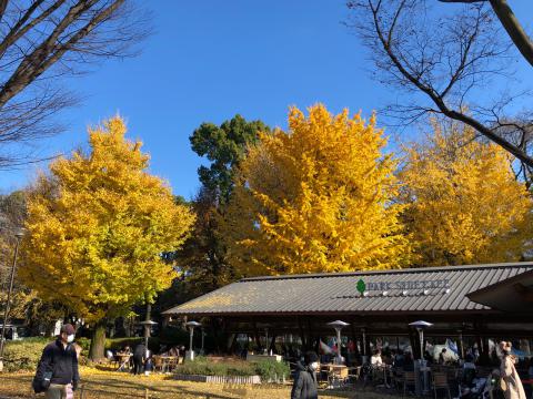 上野恩賜公園の紅葉情報 22 ウェザーニュース