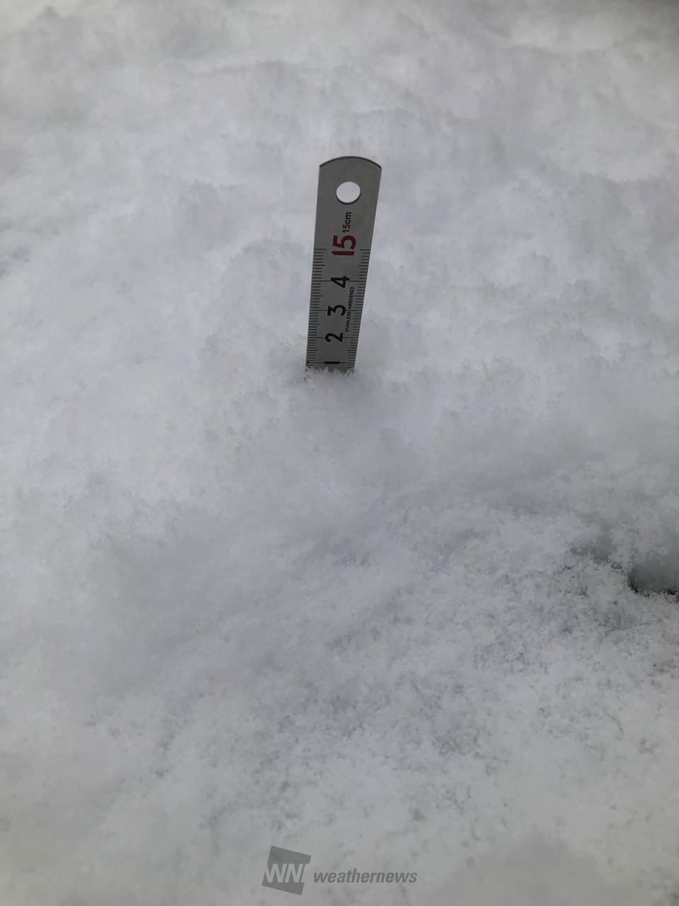 名古屋など太平洋側でも雪に 注目の空の写真 ウェザーニュース