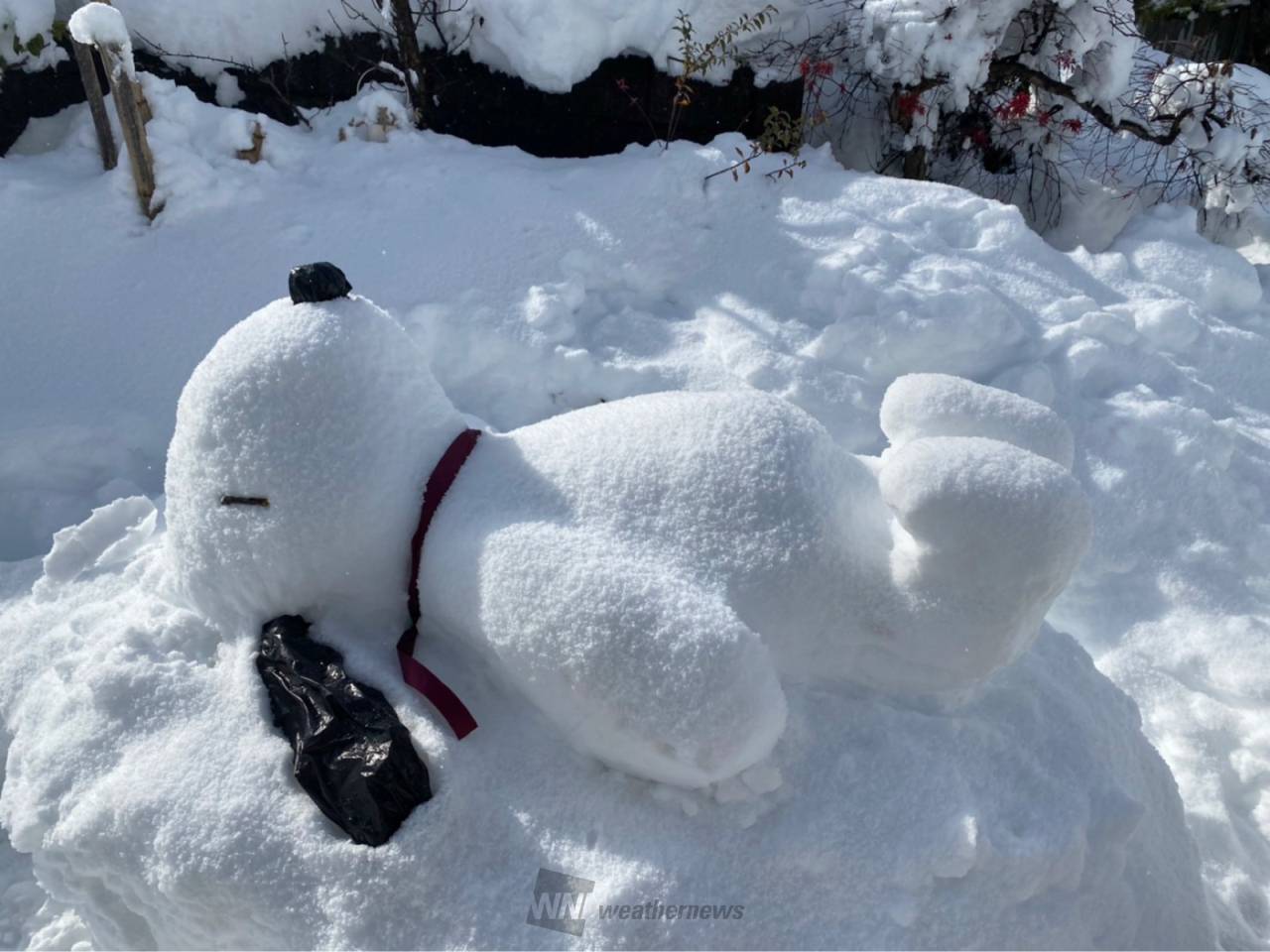 雪だるまできた 注目の空の写真 ウェザーニュース