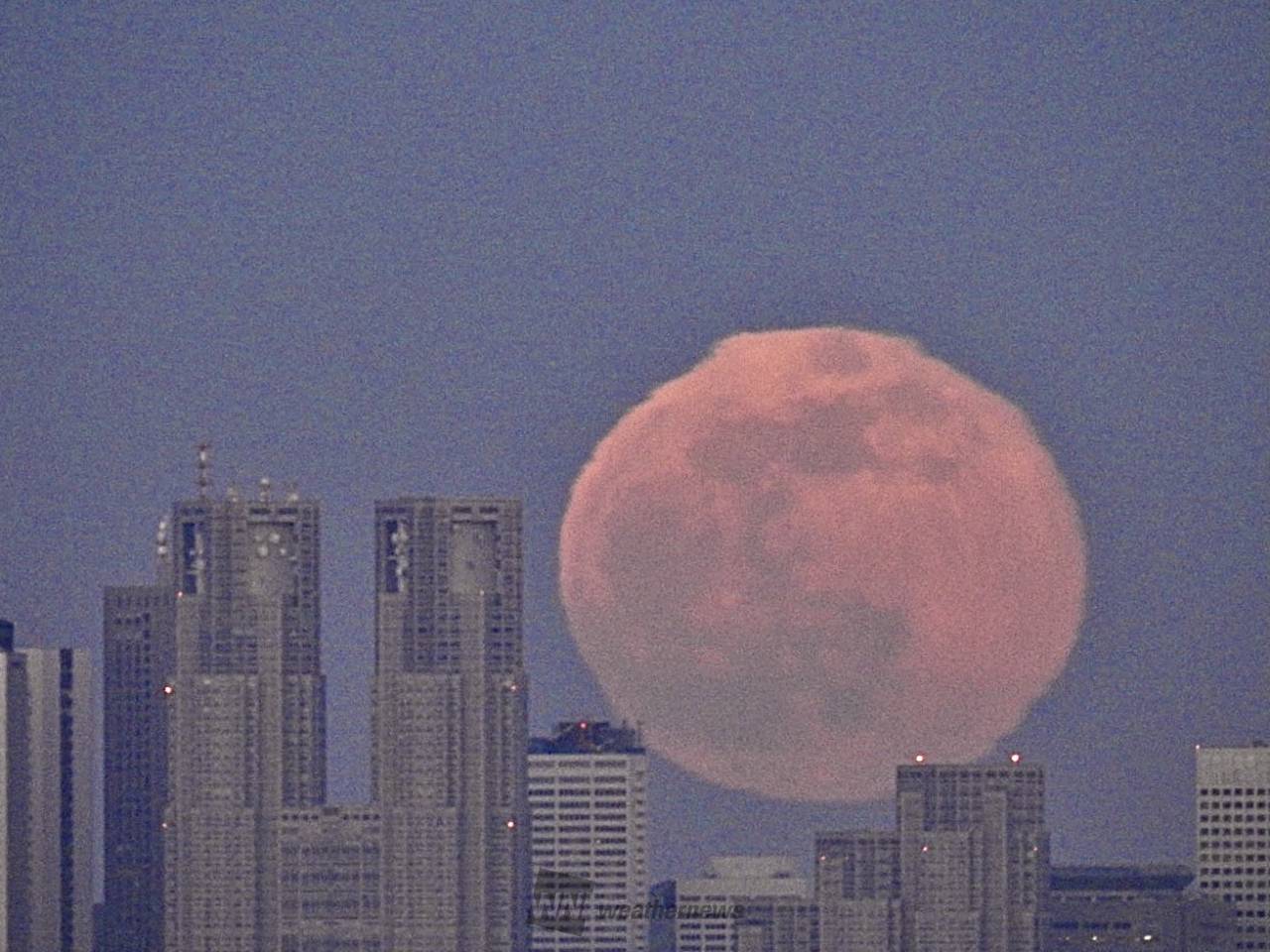 今年最初の満月 ウルフムーン 注目の空の写真 ウェザーニュース