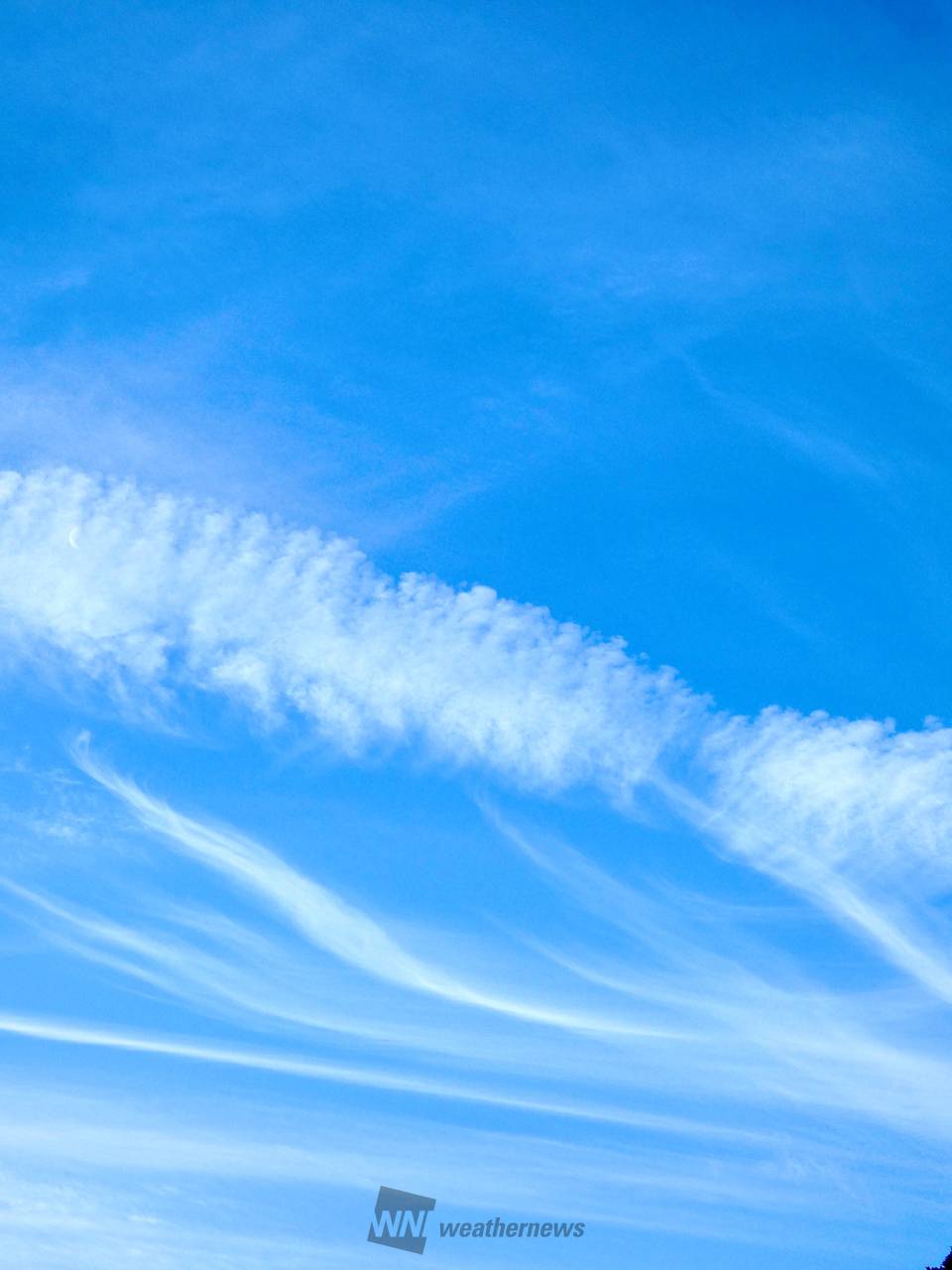 見上げれば綺麗な雲 注目の空の写真 ウェザーニュース