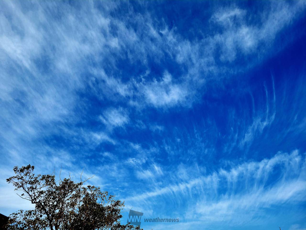 見上げれば綺麗な雲 注目の空の写真 ウェザーニュース