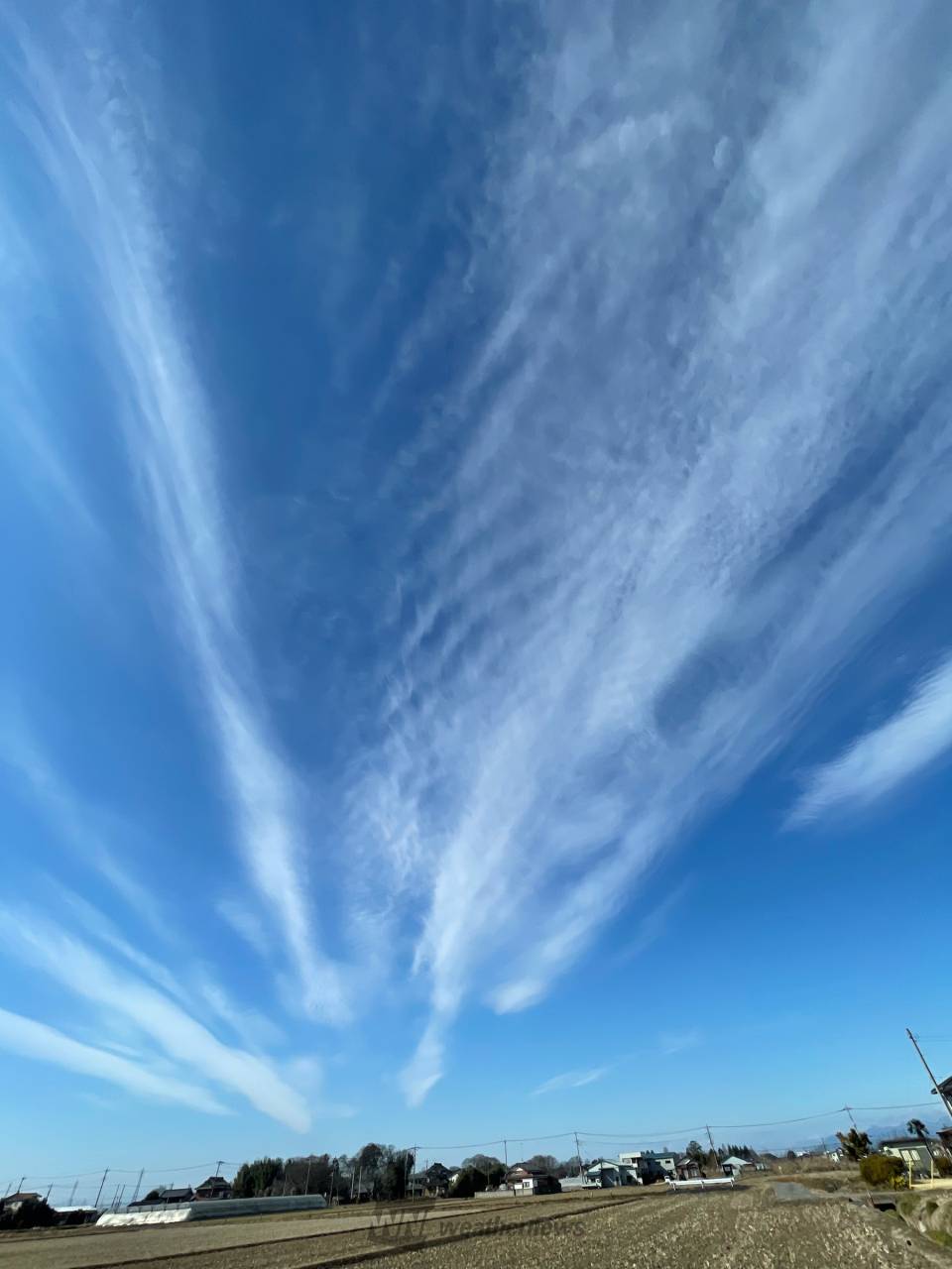 見上げれば綺麗な雲 注目の空の写真 ウェザーニュース