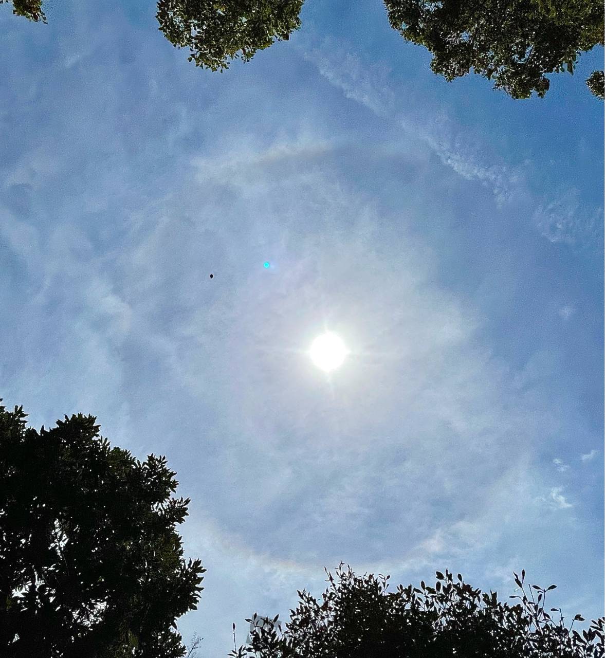 ハロなど虹色現象が出現 注目の空の写真 ウェザーニュース