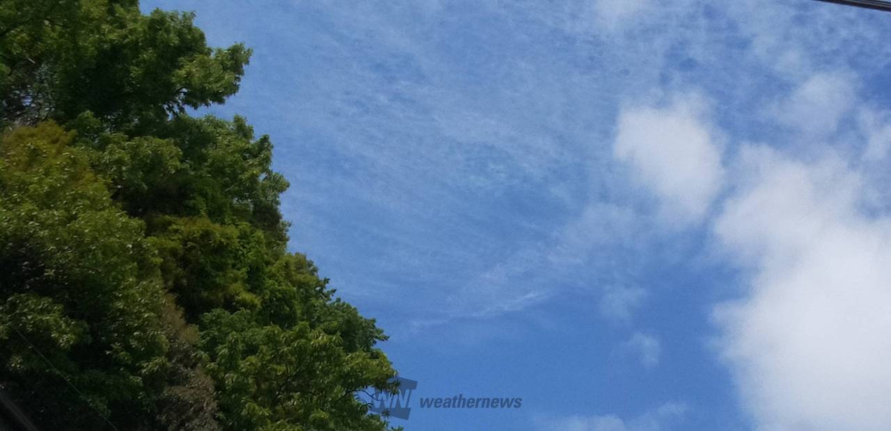 激しい雨や雷に注意 注目の空の写真 ウェザーニュース