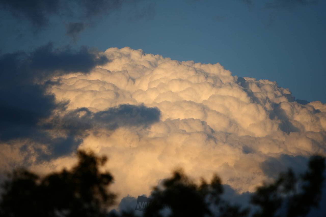 激しい雨や雷に注意 注目の空の写真 ウェザーニュース