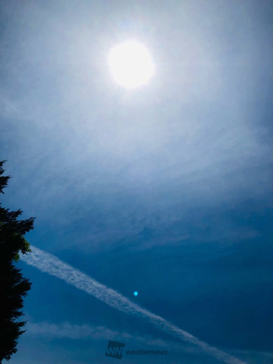 ハロや飛行機雲 注目の空の写真 ウェザーニュース