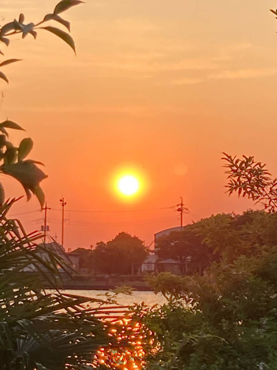 各地からの夕日・夕焼け 注目の空の写真 ウェザーニュース