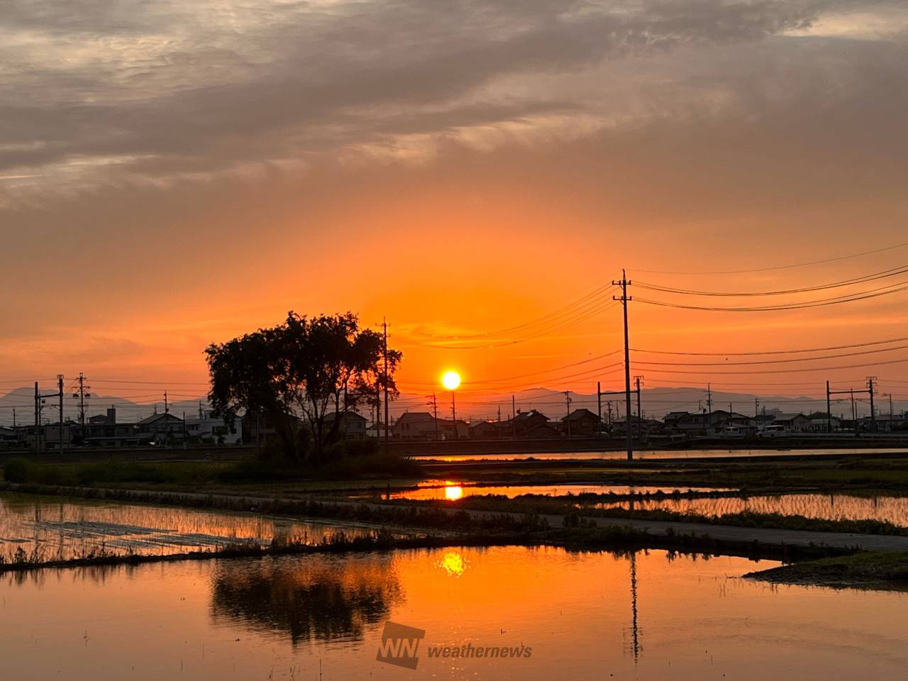 穏やかな夕空 水面もオレンジ色に 注目の空の写真 ウェザーニュース
