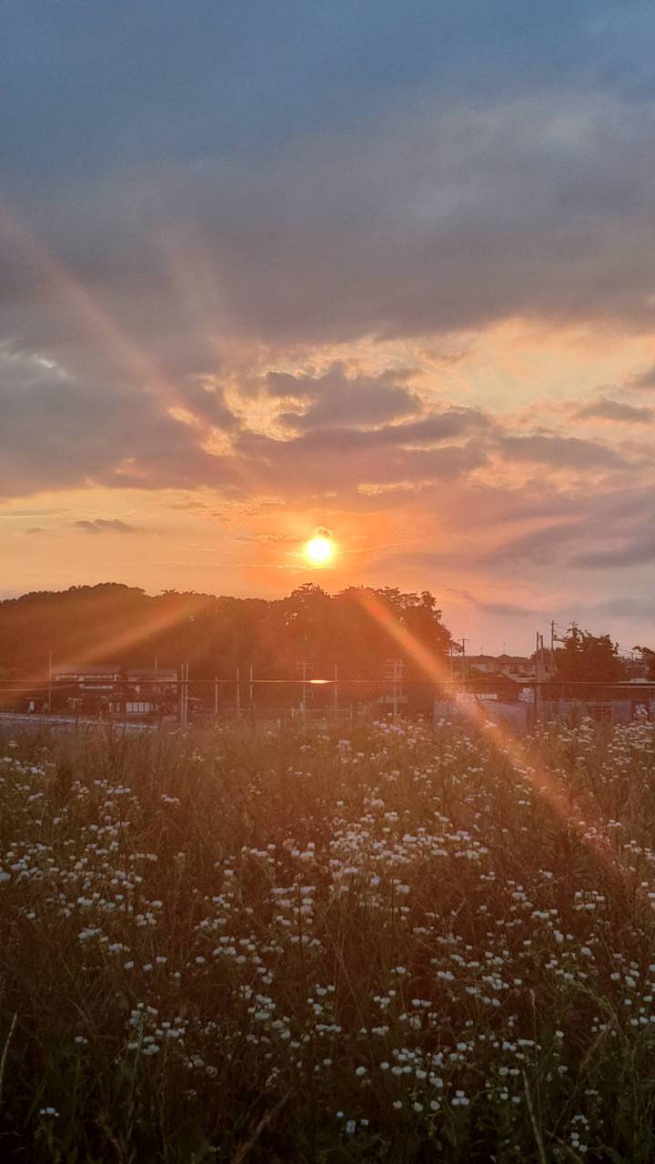キレイな夕日・夕焼け 注目の空の写真 ウェザーニュース