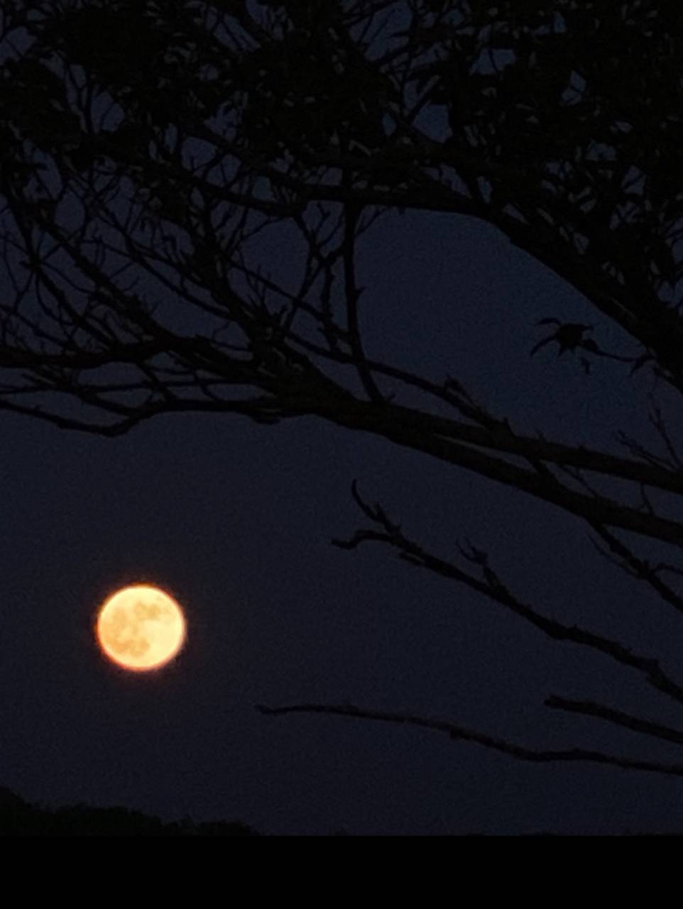 6月の満月 ストロベリームーン 注目の空の写真 ウェザーニュース