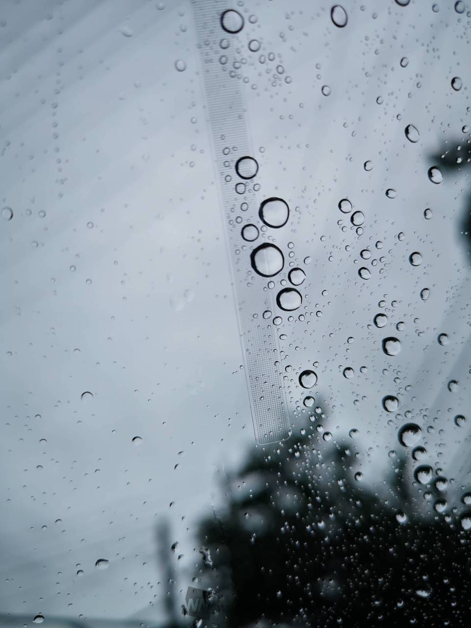 広く梅雨空 注目の空の写真 ウェザーニュース