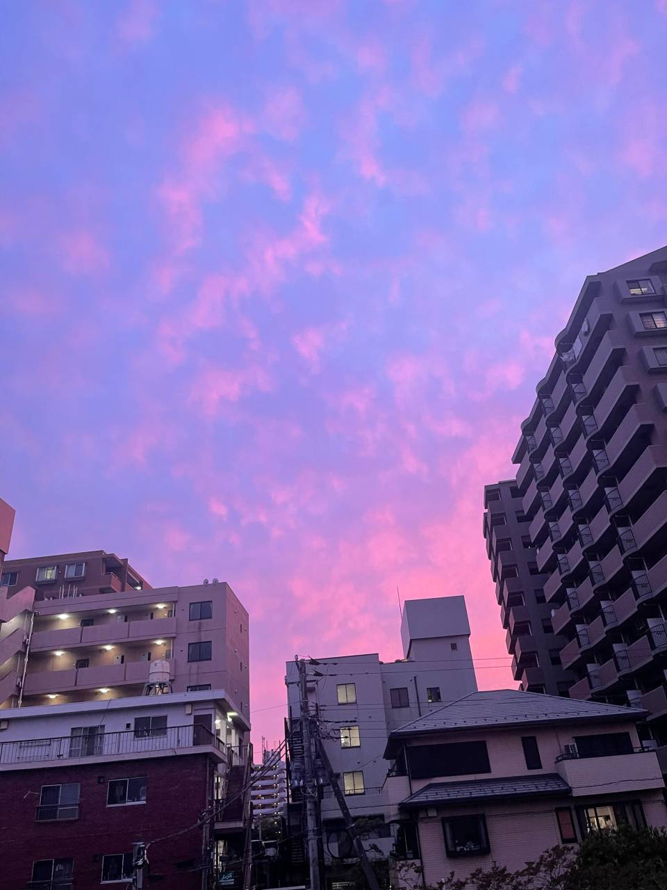 夕空ギャラリー 注目の空の写真 ウェザーニュース