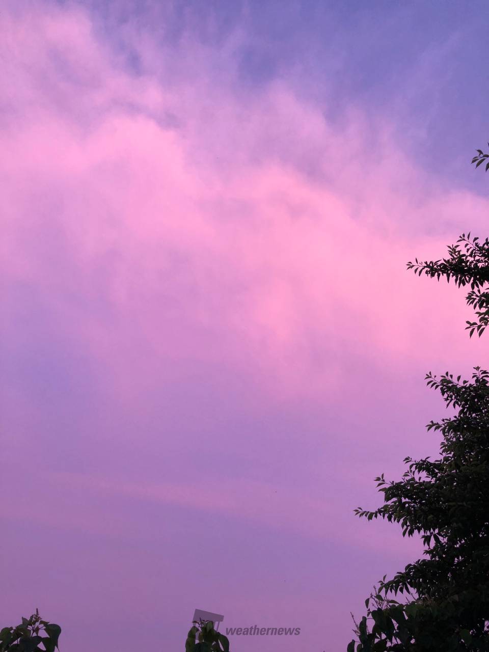 夕焼けタイム 注目の空の写真 ウェザーニュース