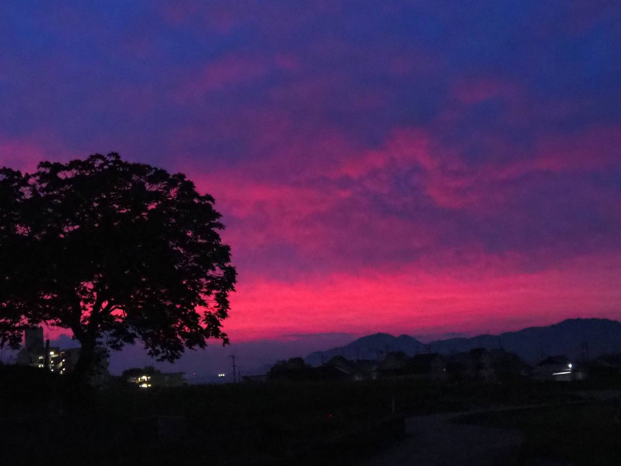 紫っぽい朝焼け 注目の空の写真 ウェザーニュース