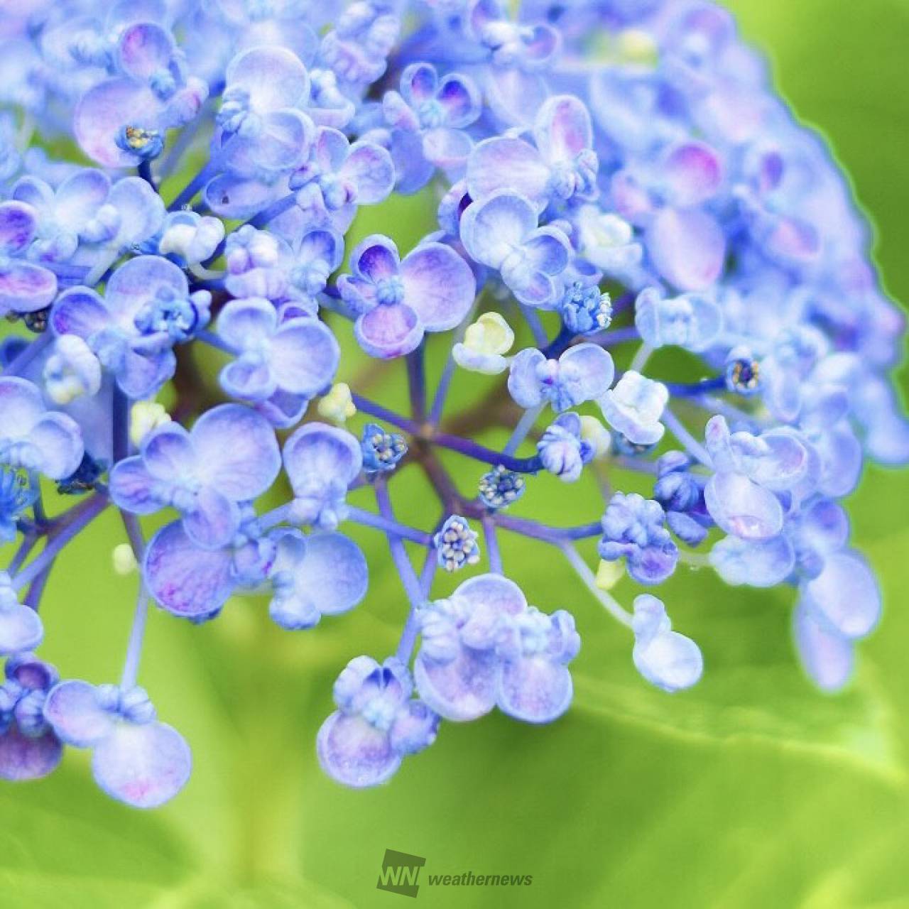 19日の絶景写真 注目の空の写真 ウェザーニュース