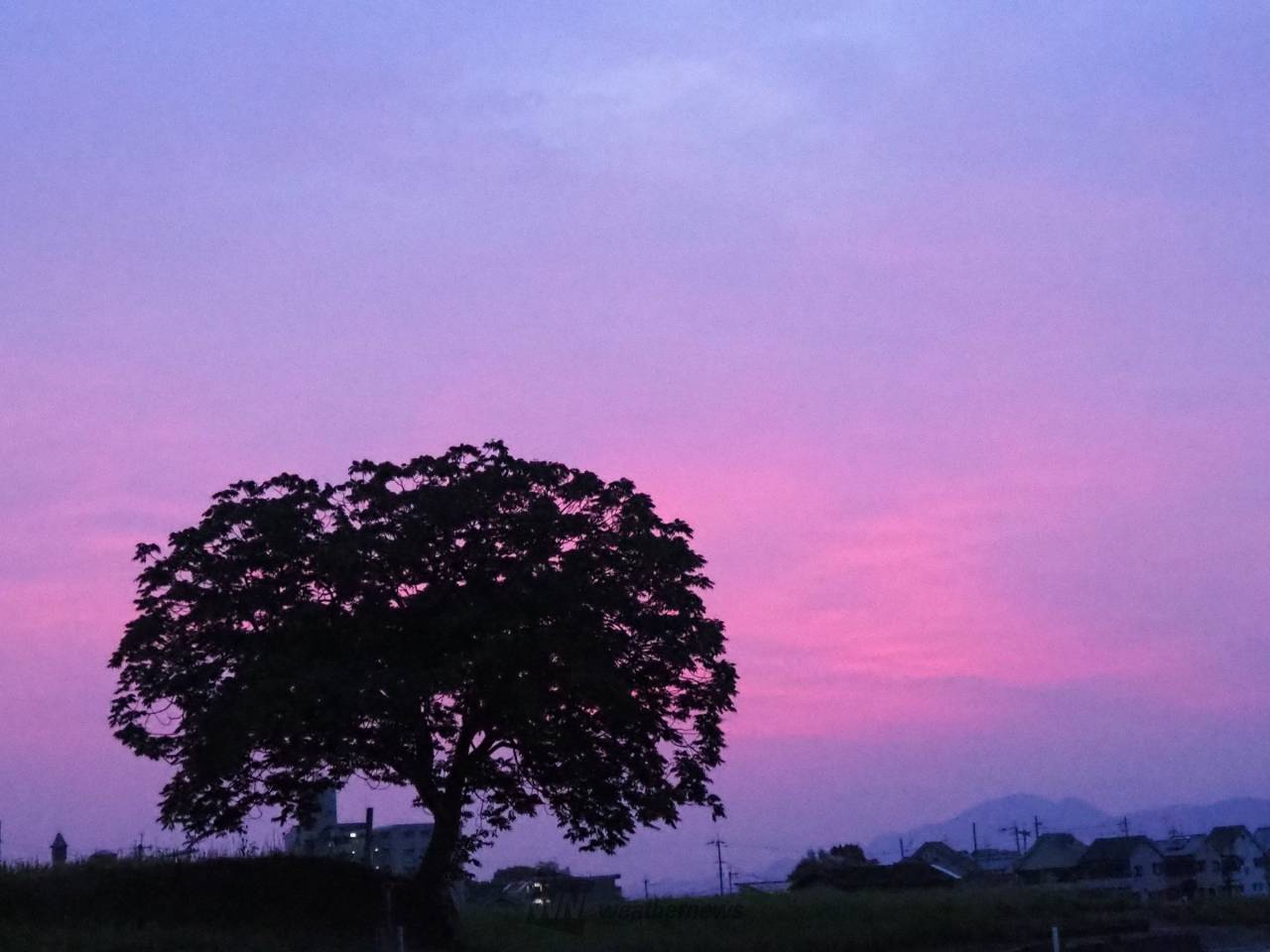 鮮やかな朝焼け雲 注目の空の写真 ウェザーニュース