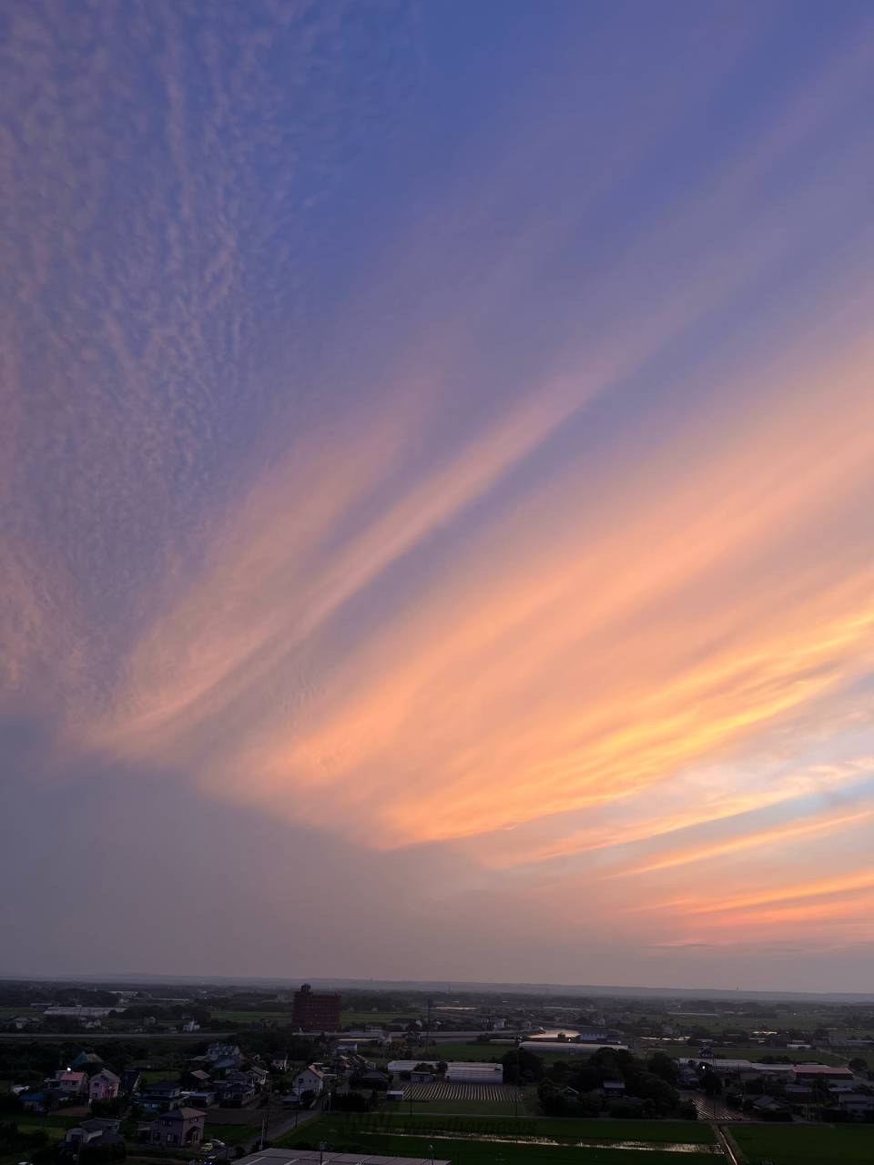 アートのような夕焼け 注目の空の写真 ウェザーニュース