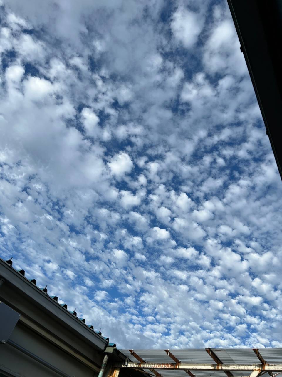 にぎやかな空 注目の空の写真 ウェザーニュース