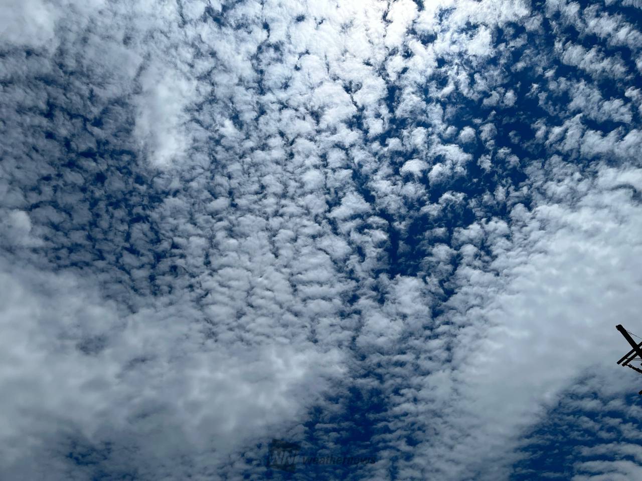 にぎやかな空 注目の空の写真 ウェザーニュース