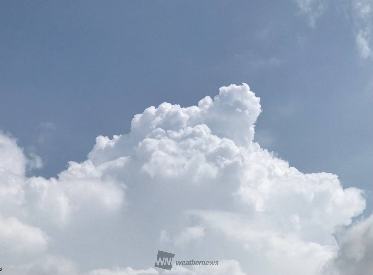 空の変化を追跡中 注目の空の写真 ウェザーニュース 空の変化を追跡中 注目の空の写真 ウェザーニュース