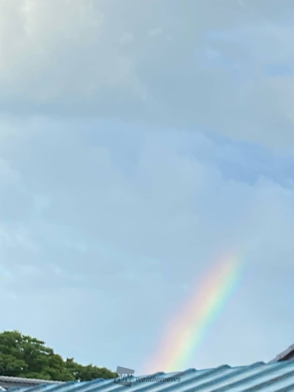 雨上がりの空に虹 注目の空の写真 ウェザーニュース