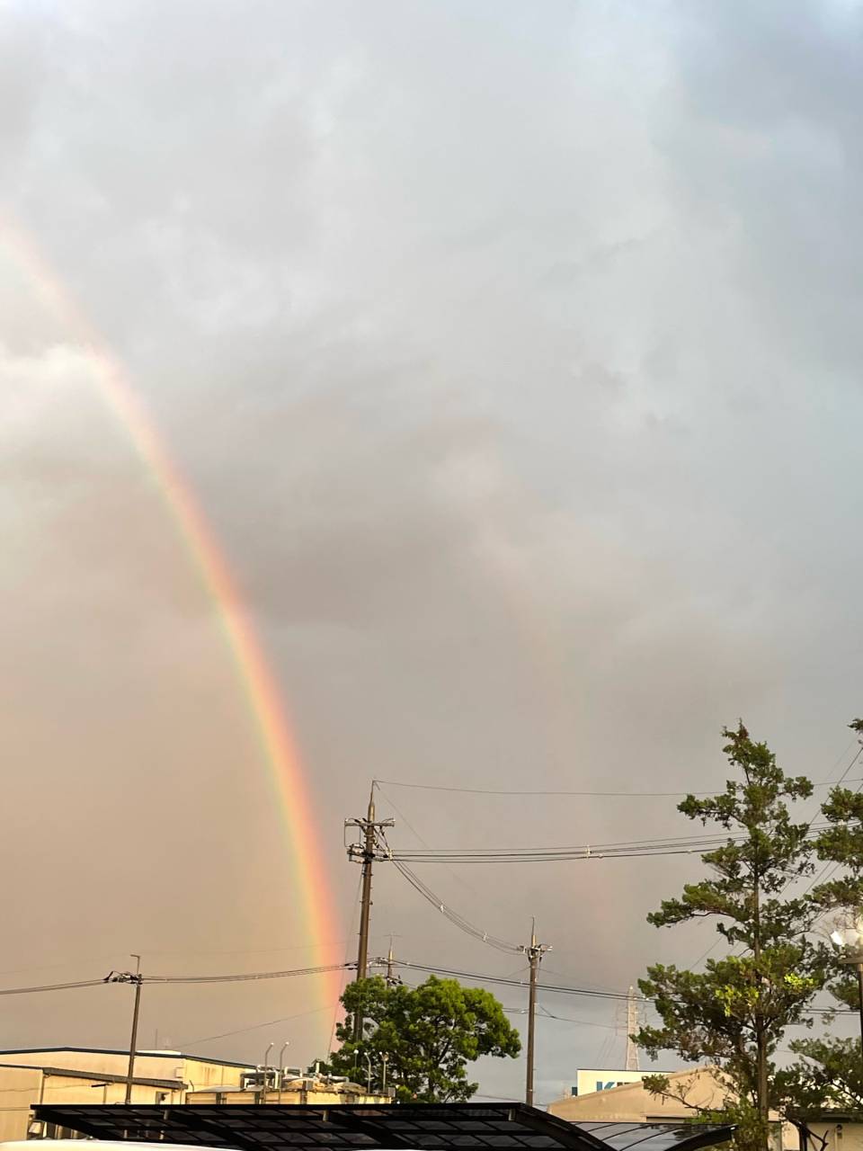 雨上がりの空に虹 注目の空の写真 ウェザーニュース